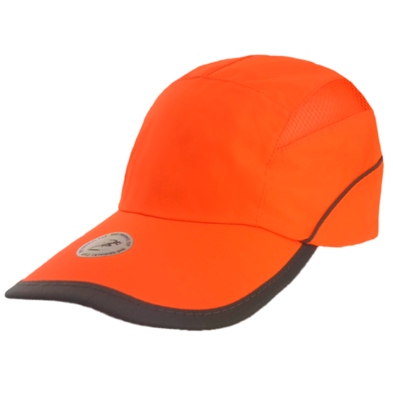 POLY 24